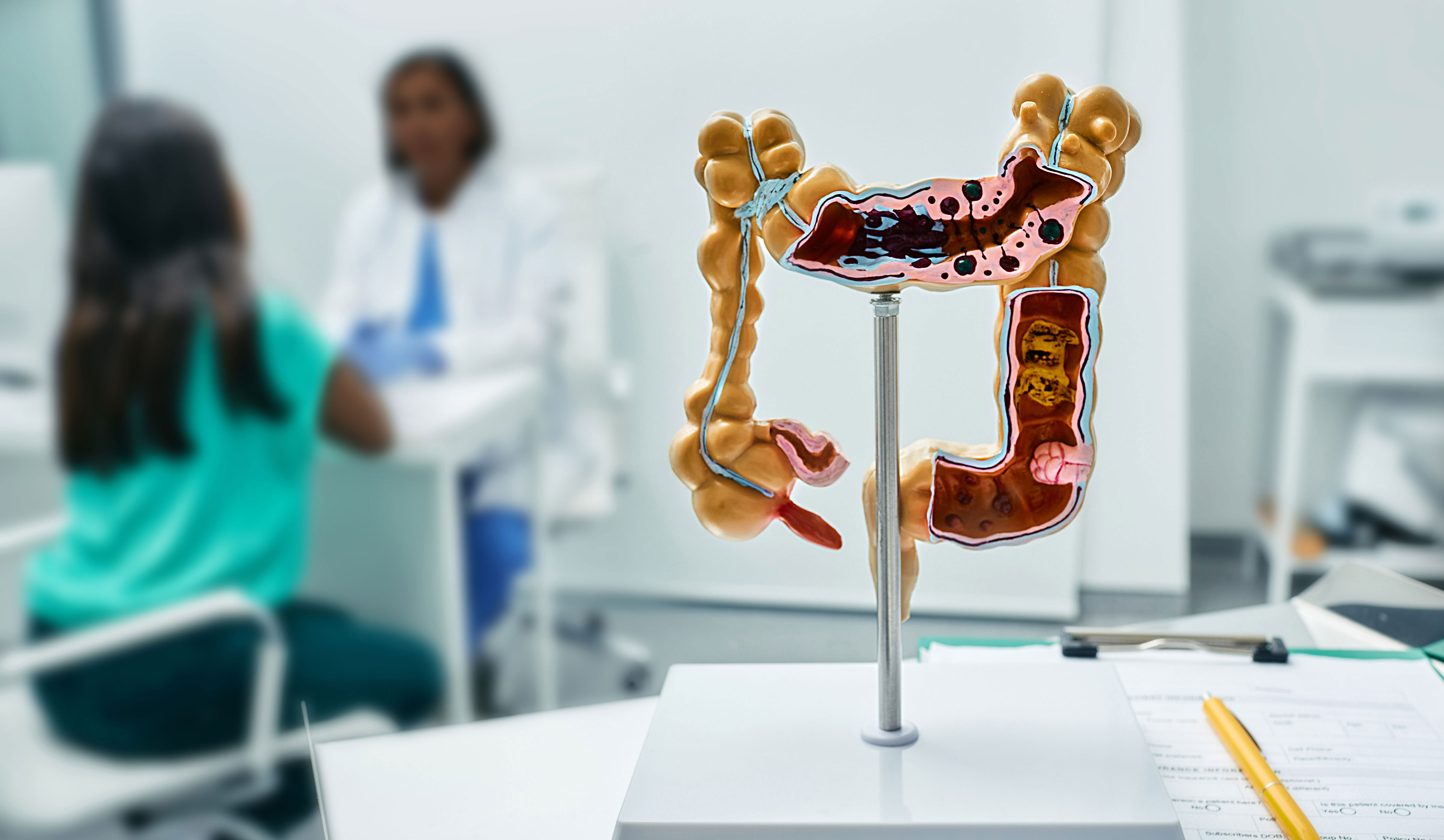 Gastroenterology consultation