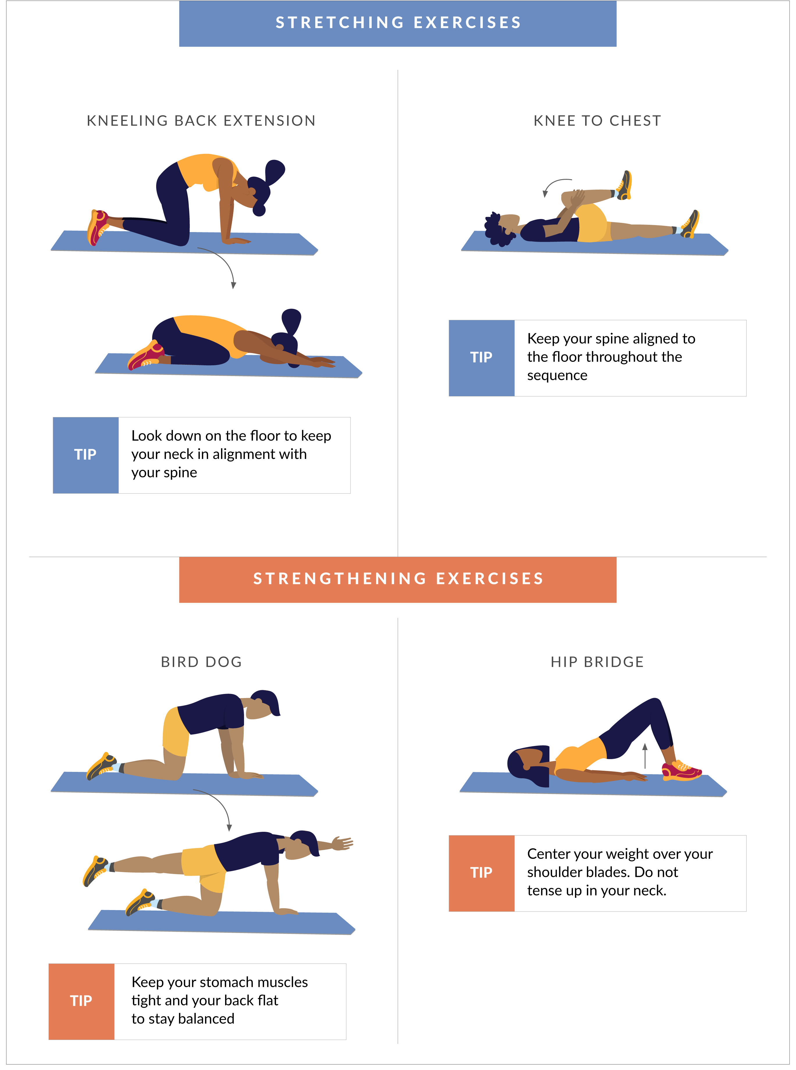 Lower Back Pain Exercises